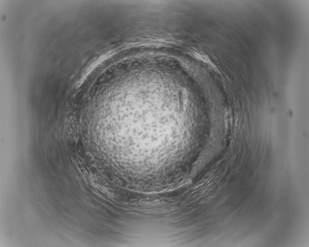X0000056371256200508261354