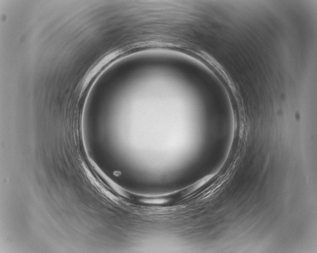 X0000056371293200508261353