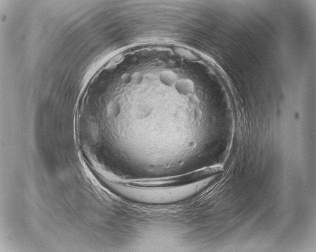 X0000056371295200508261353