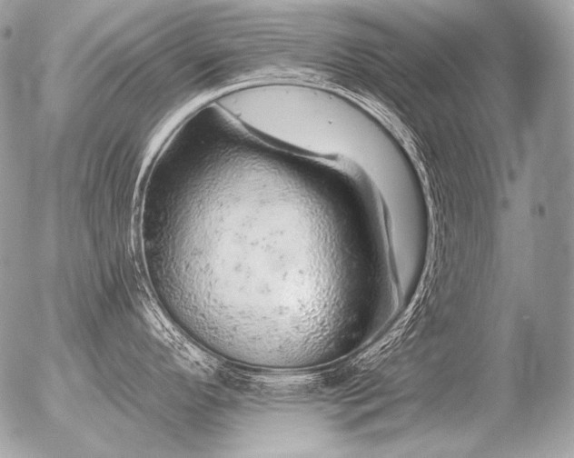 X0000056371296200508261353
