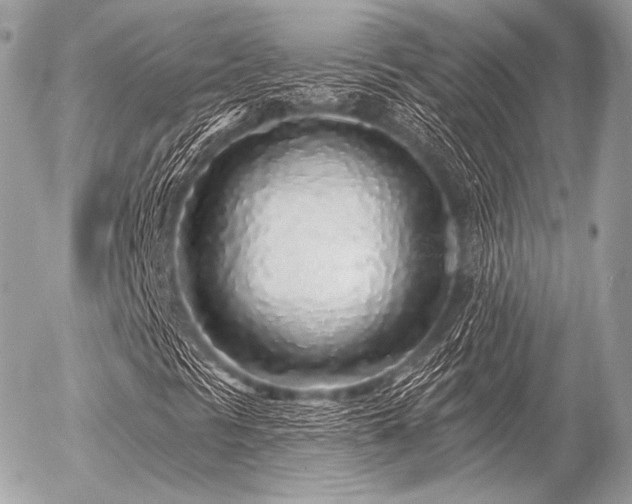 X0000056371297200508261352