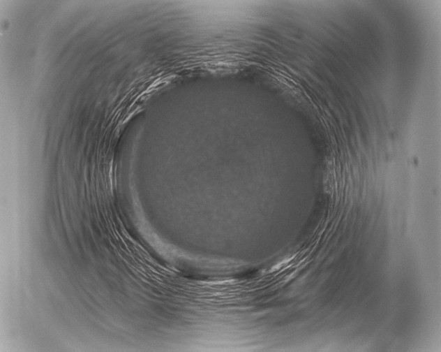 X0000056371298200508261352