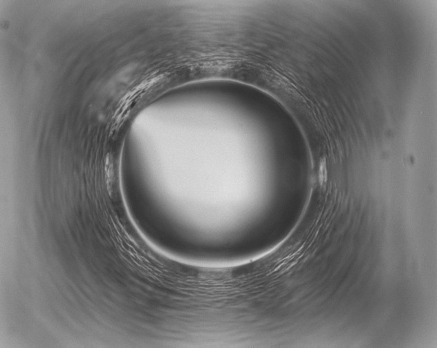 X0000056371299200508261352