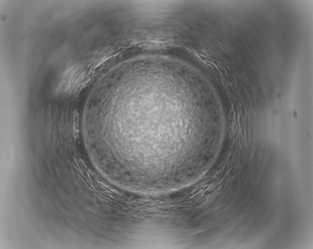 X0000056371301200508261352