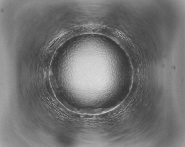 X0000056371302200508261352