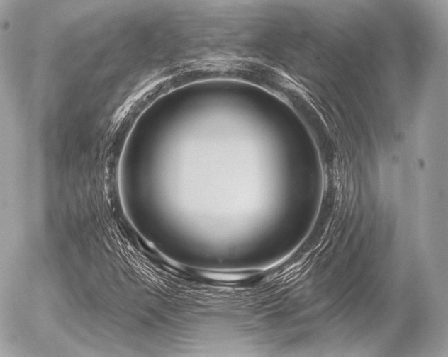 X0000056371304200508261352