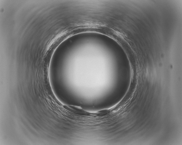 X0000056371307200508261352