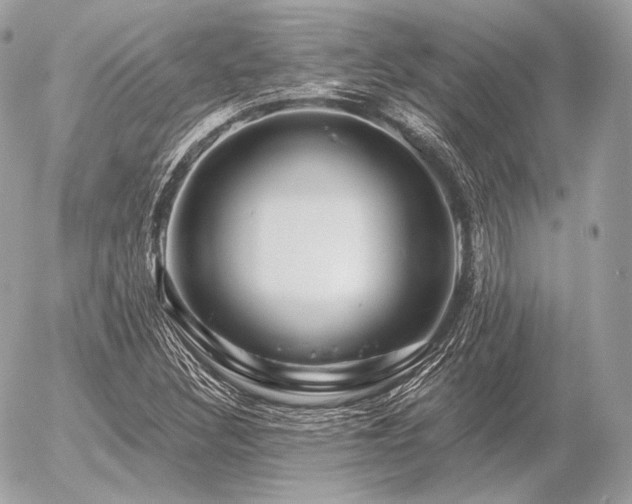 X0000056371308200508261352