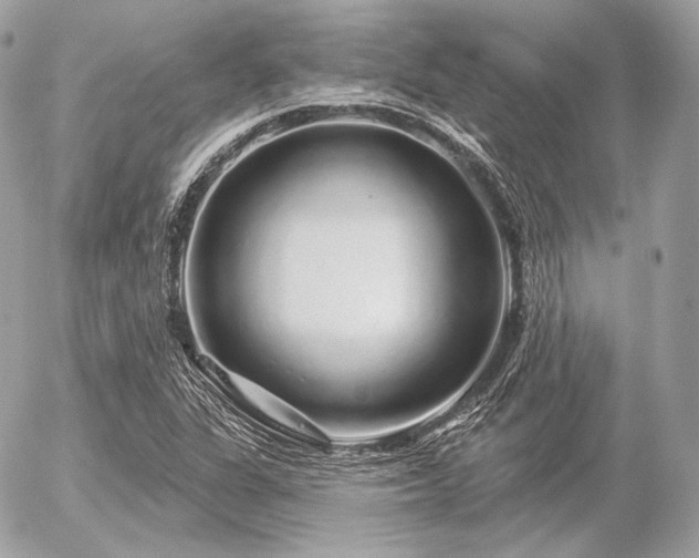 X0000056371311200508261353