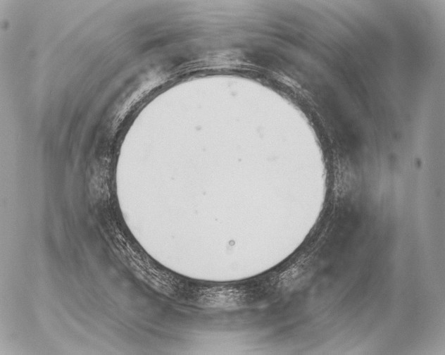 X0000056371314200508261353