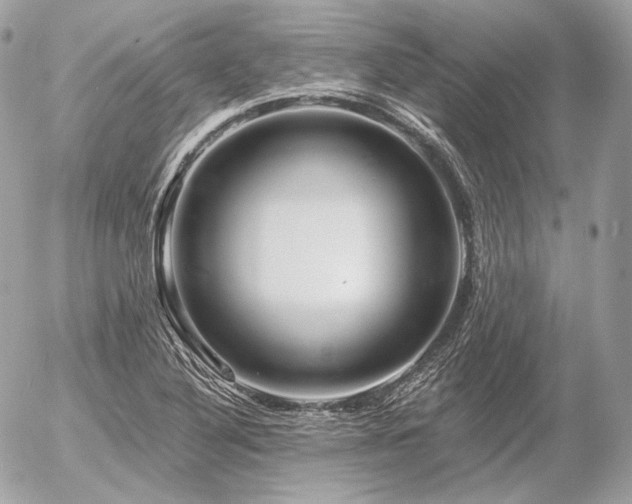 X0000056371316200508261353