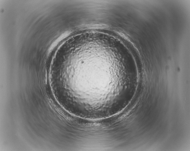 X0000056371317200508261353
