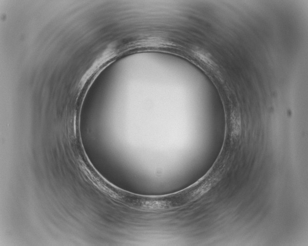 X0000056371322200508261353