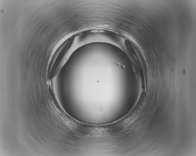 X0000056371324200508261353