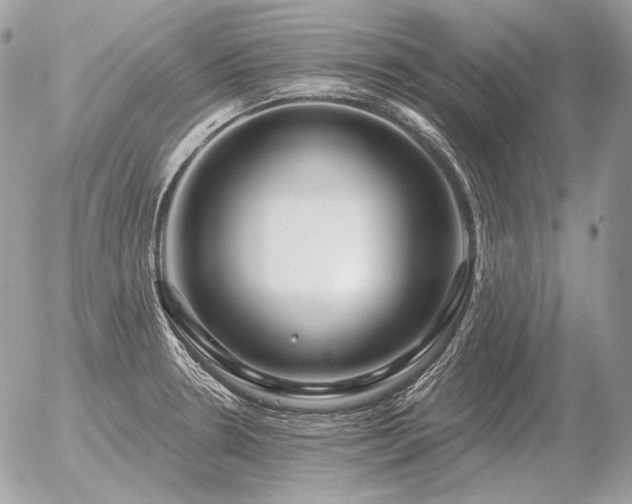 X0000056371330200508261353