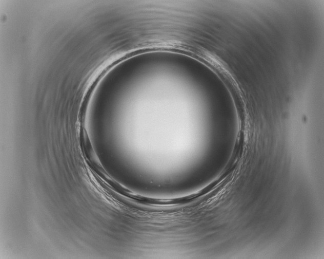 X0000056371332200508261353