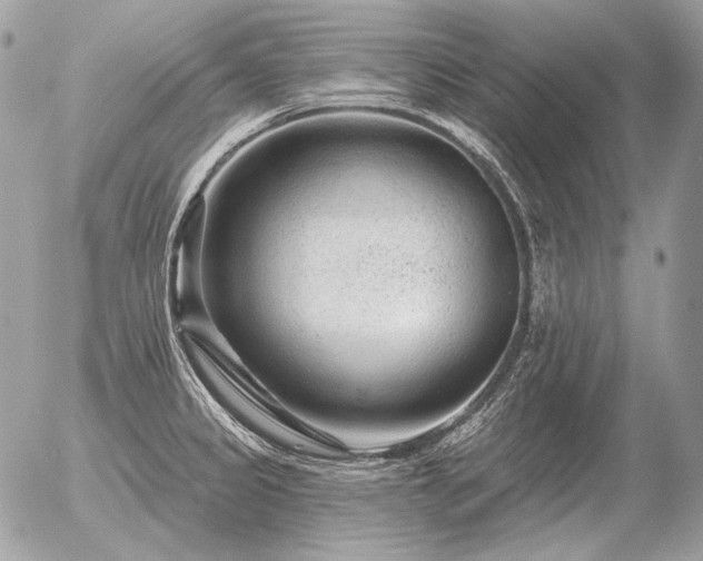 X0000056371333200508261353