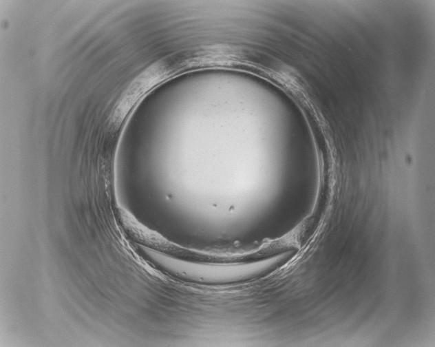 X0000056371337200508261353