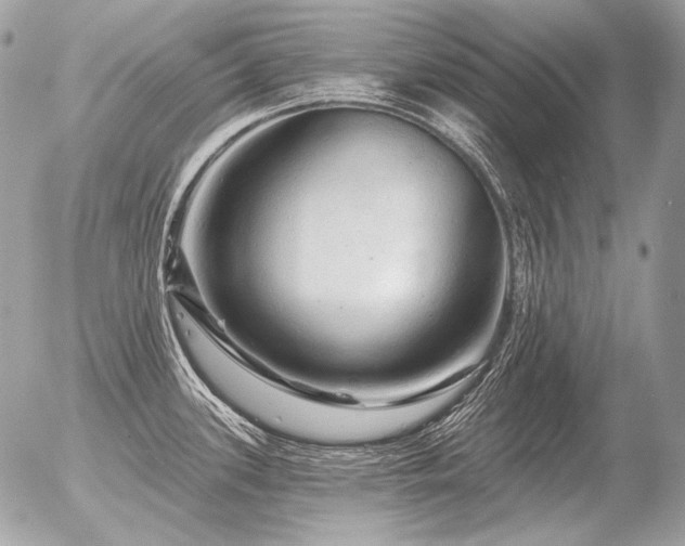 X0000056371339200508261353