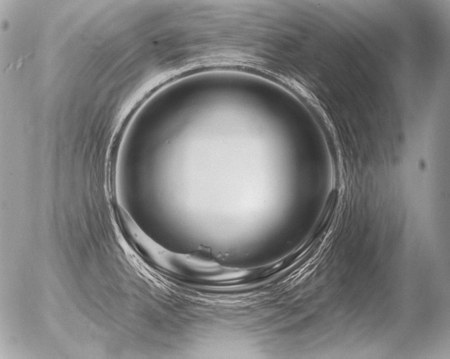 X0000056371342200508261353