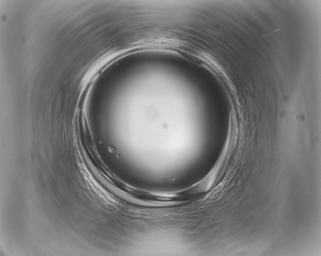 X0000056371344200508261353