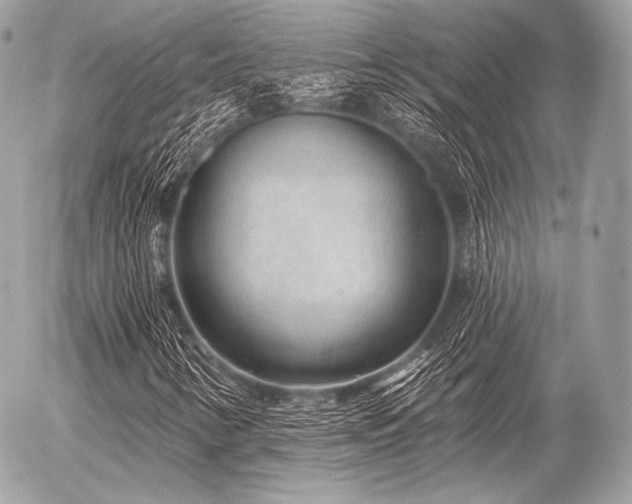 X0000056371346200508261352