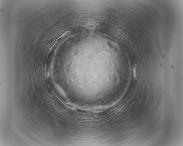X0000056371347200508261352