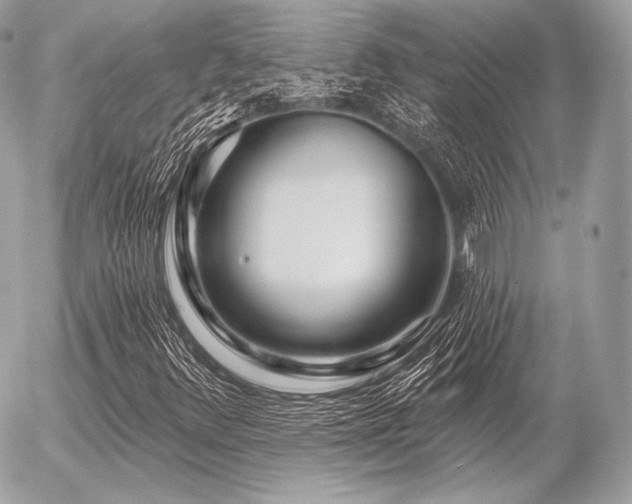 X0000056371348200508261352