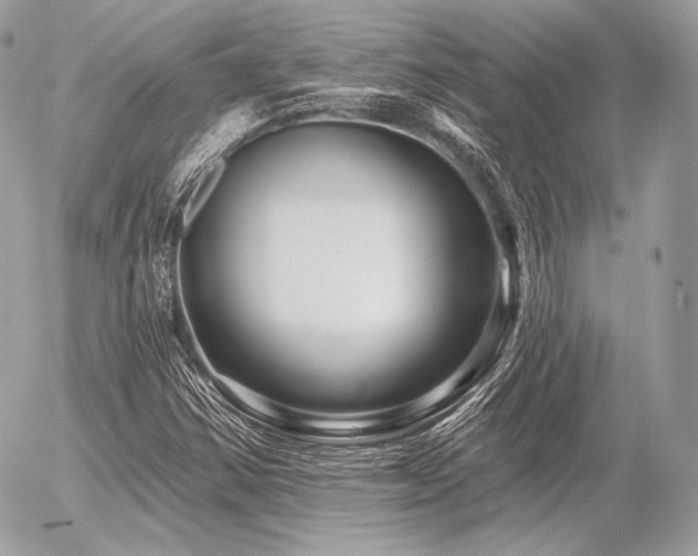 X0000056371354200508261352