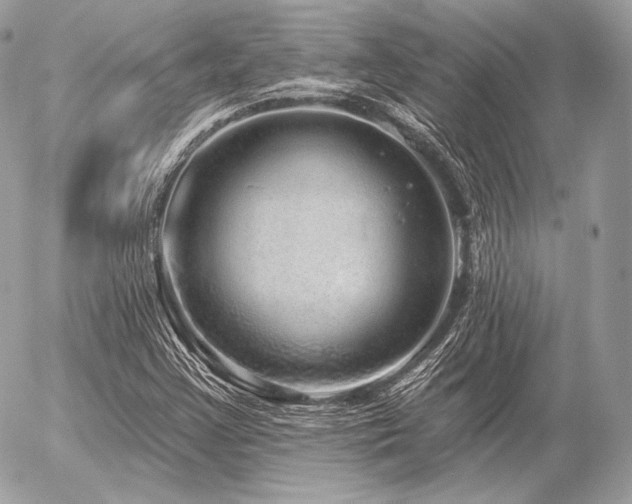 X0000056371355200508261352