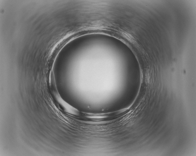 X0000056371356200508261352