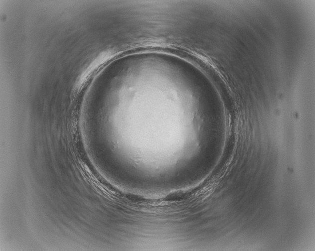 X0000056371359200508261352