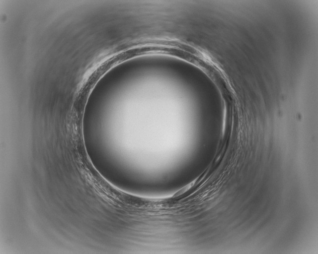 X0000056371360200508261352