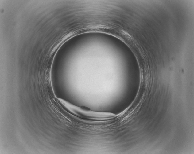 X0000056371361200508261352