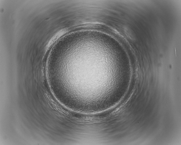 X0000056371362200508261352