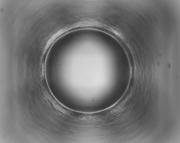 X0000056371366200508261352