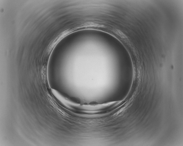 X0000056371369200508261352