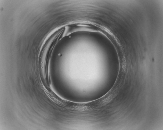 X0000056371372200508261352