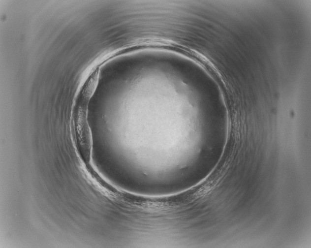 X0000056371379200508261352