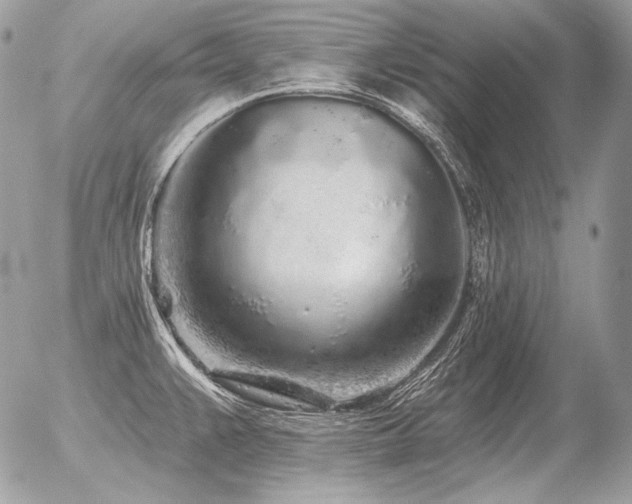 X0000056371383200508261352