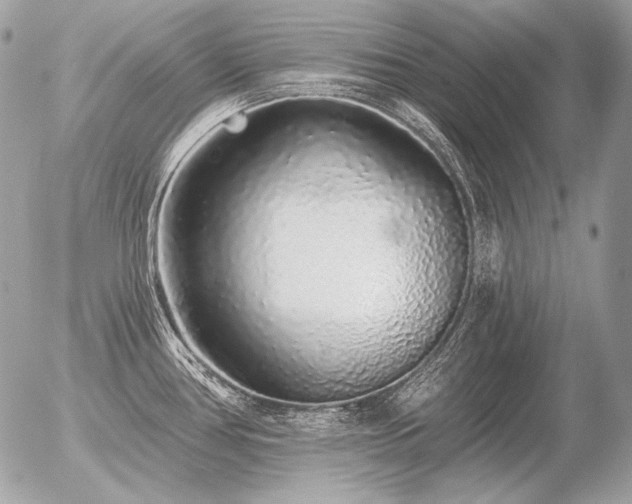 X0000056371386200508261352