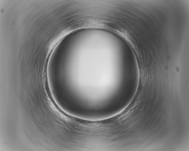 X0000056371387200508261352