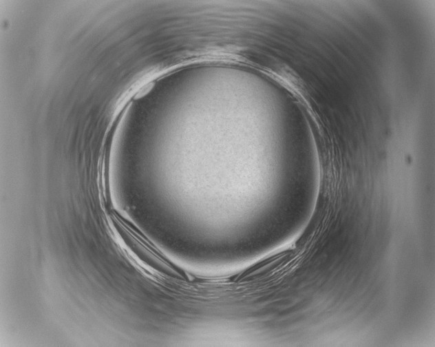 X0000056371391200508261351