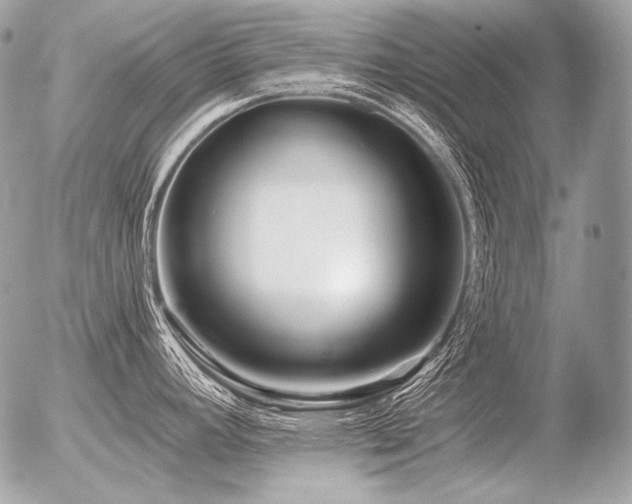 X0000056371392200508261351