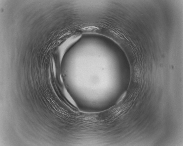 X0000056371394200508261351