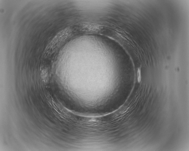 X0000056371395200508261351