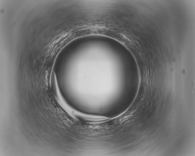 X0000056371398200508261351