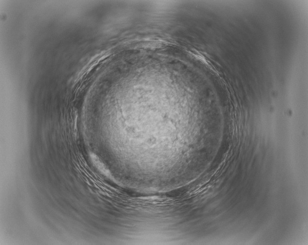 X0000056371399200508261351