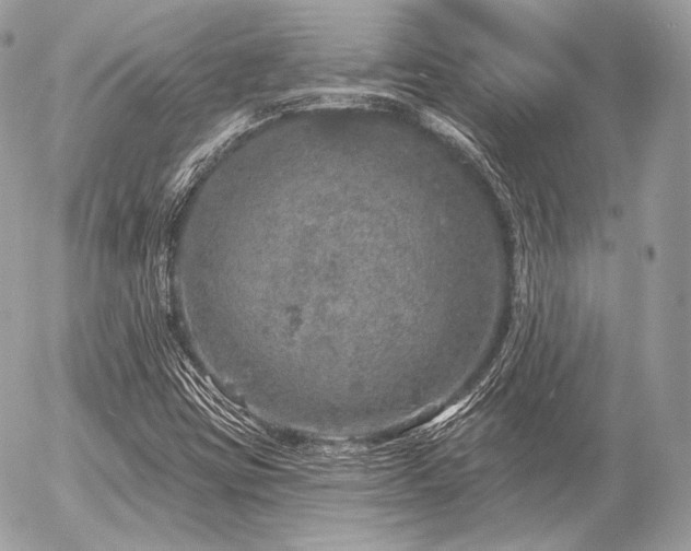 X0000056371403200508261351