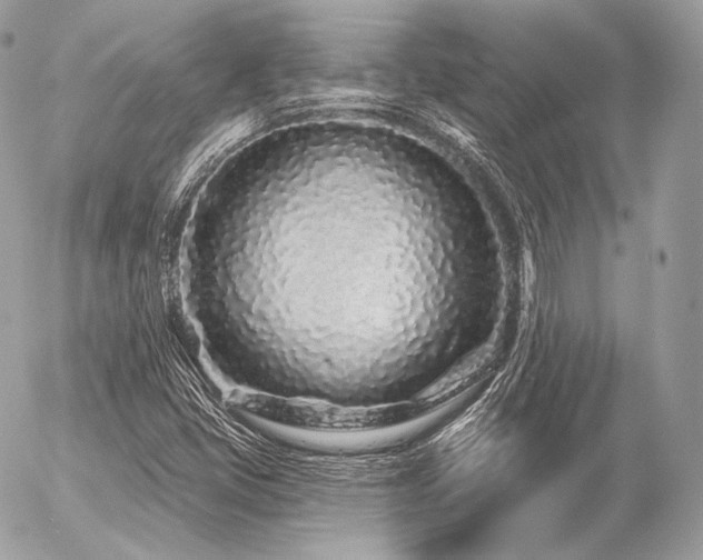 X0000056371405200508261351